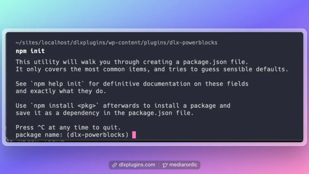 npm init terminal message