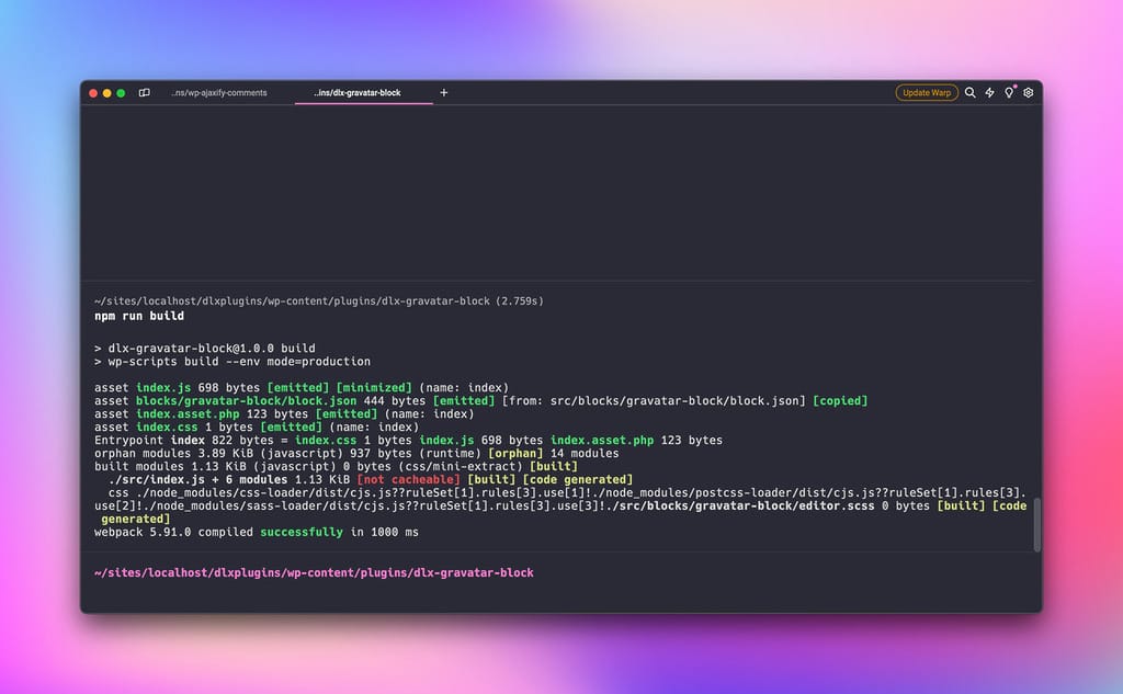 Running npm run build in terminal