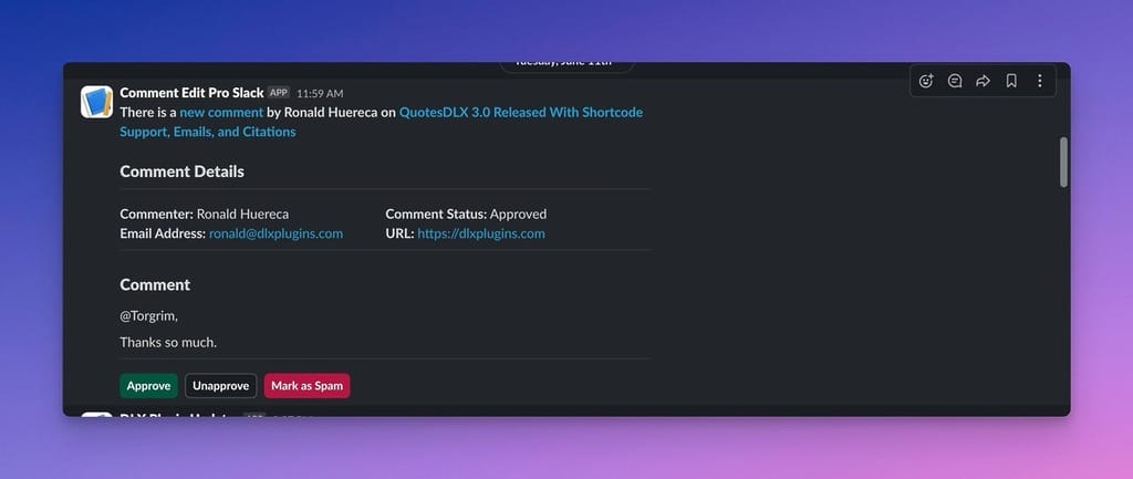 Example of a Slack Notification for New Comments