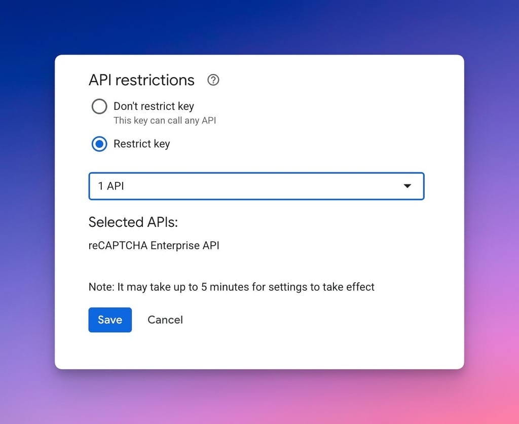 Save the API Key Settingis