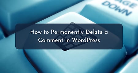 How to Permanently Delete a Comment in WordPress How to Permanently Delete a Comment in WordPress - 1